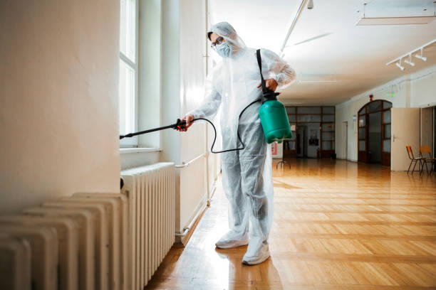 Best Real Estate Pest Inspections  in Thiells, NY